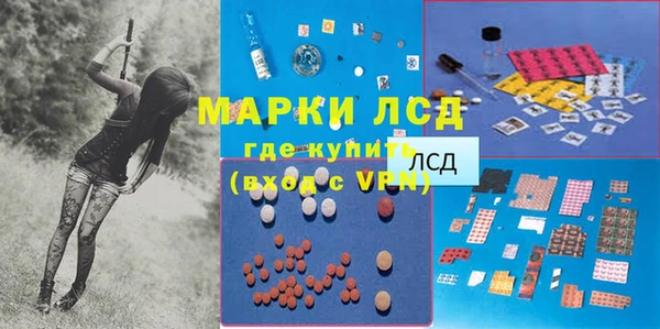 мдпв Верея