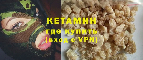 индика Вяземский