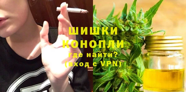 2c-b Инта
