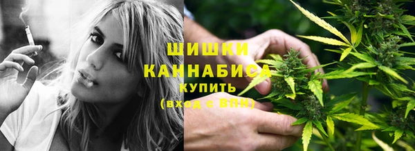 мдпв Верея